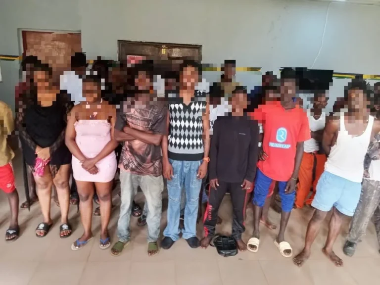 Police arrest 81, recover illicit drugs in Delta