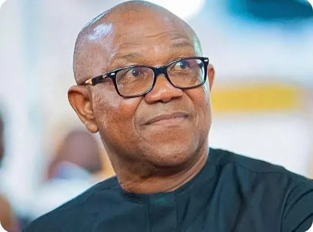 Nigeria needs new leadership — Peter Obi