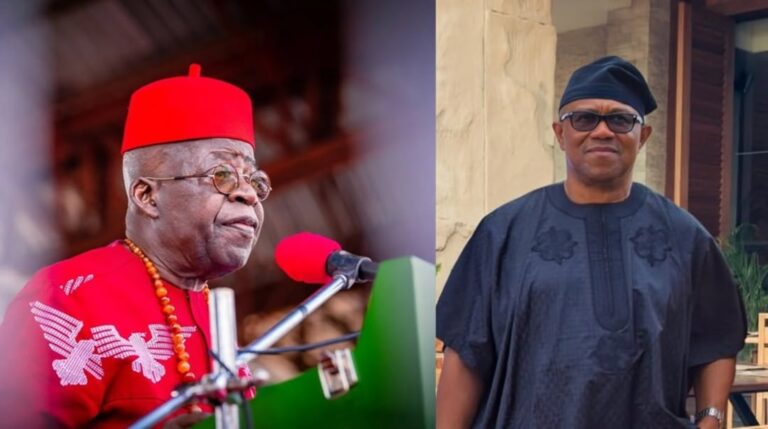 APC to Peter Obi: Tinubu works from morning till night, not tired