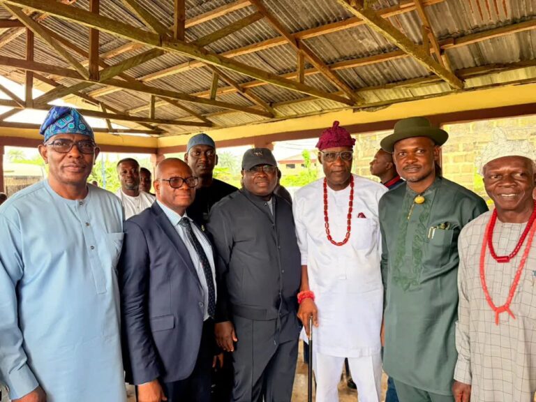 Reps seek completion of NDPHC’s 330kV transmission project