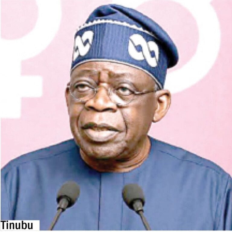 2027: Tinubu omits primary, secondary, lists varsity qualification as INEC publishes credentials