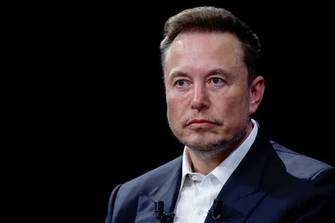 Musk questions Grok claim Nigeria had 4m more births than EU